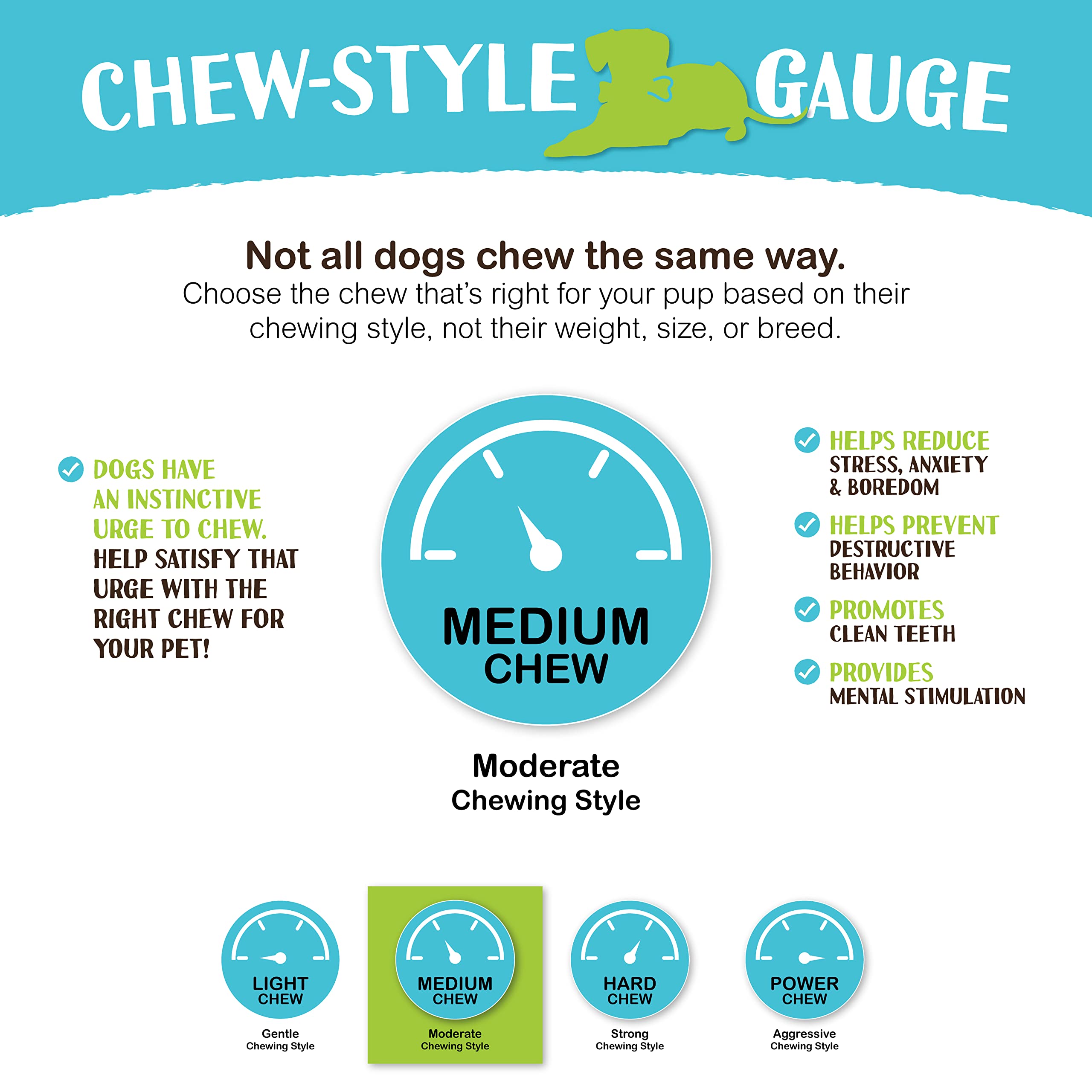 Raw Paws single-ingredient bully sticks highlight simple, natural chewing.
