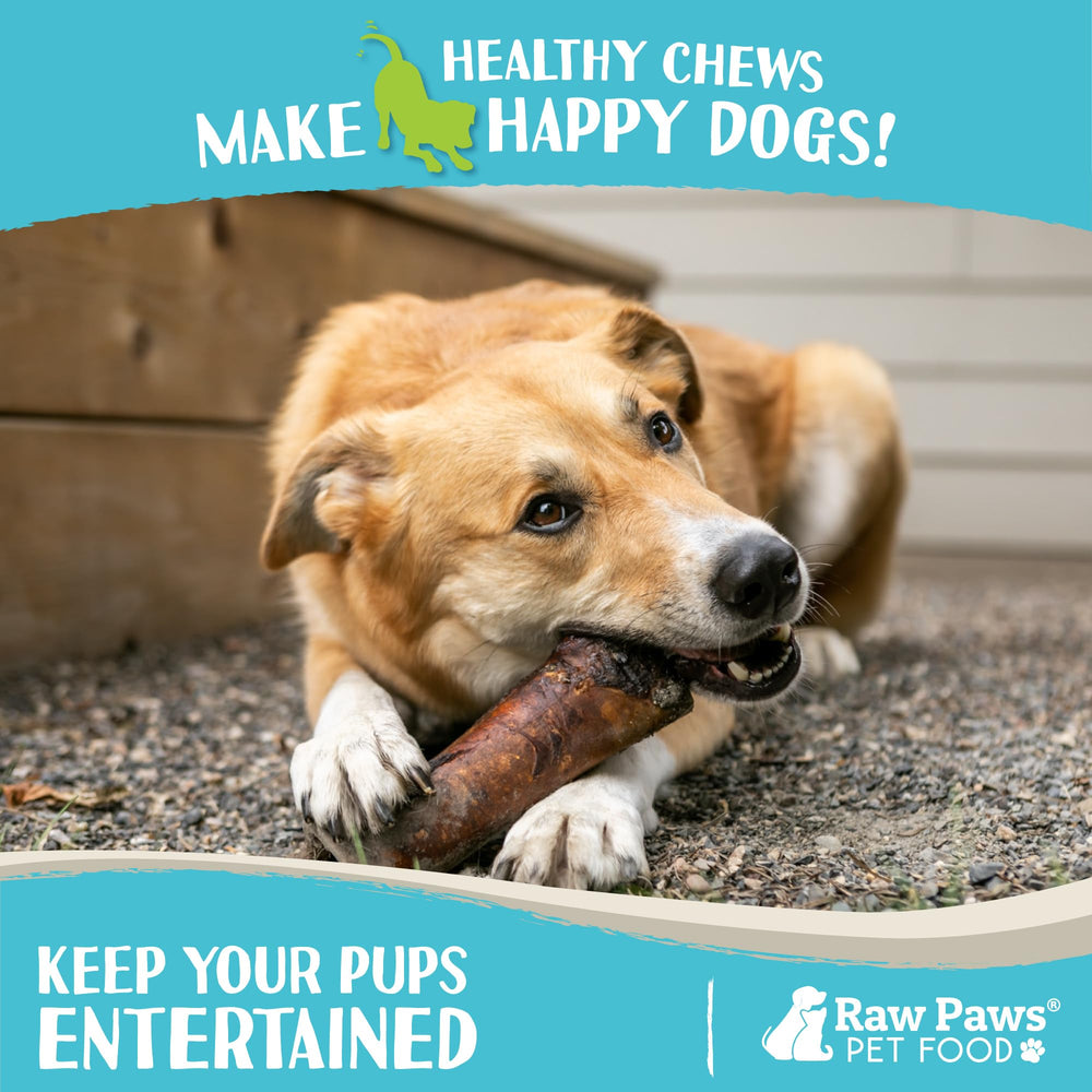 Raw Paws stress-relief chew for dogs promotes focused chewing.