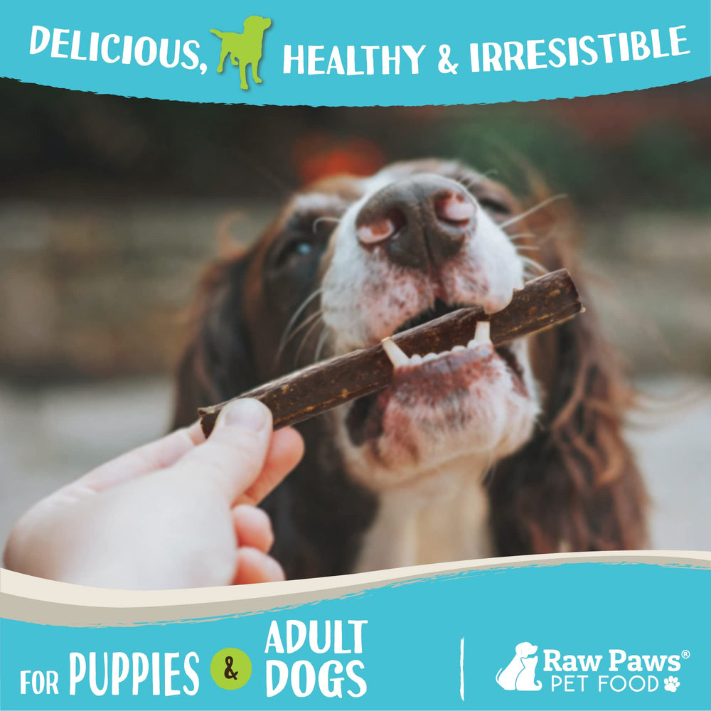 Raw Paws venison jerky stacked, highlighting chewy texture your dog will love.