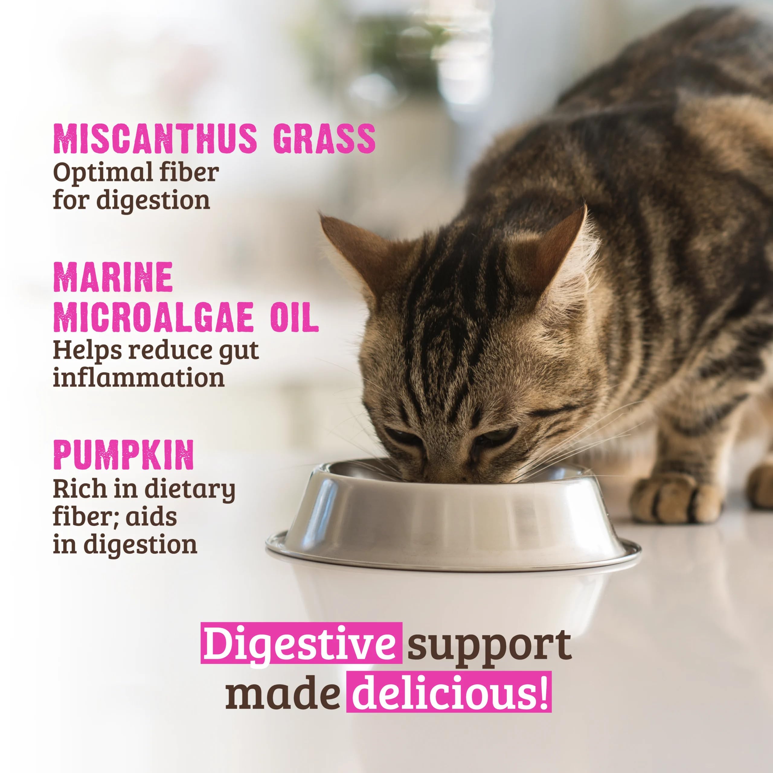 Rawz Digestive Support can label emphasizes no gums and BPA-free lining.