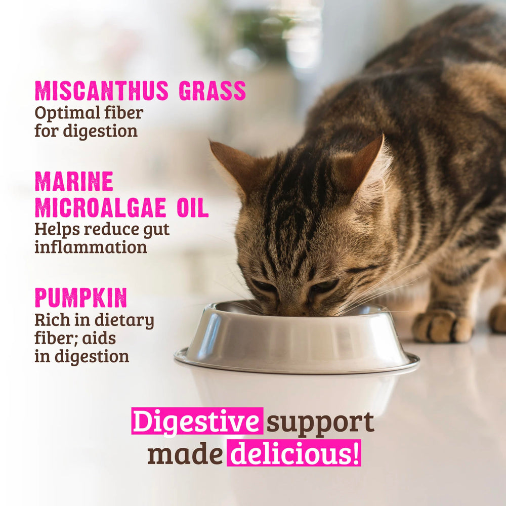 Rawz Digestive Support can label emphasizes no gums and BPA-free lining.