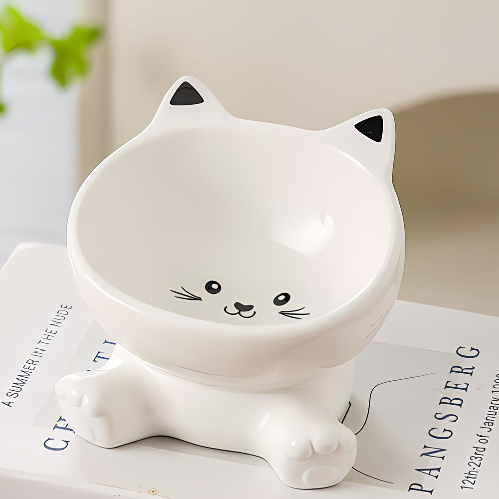 Raytrue-X raised cat bowl dish detail with smooth glaze for easy cleaning.