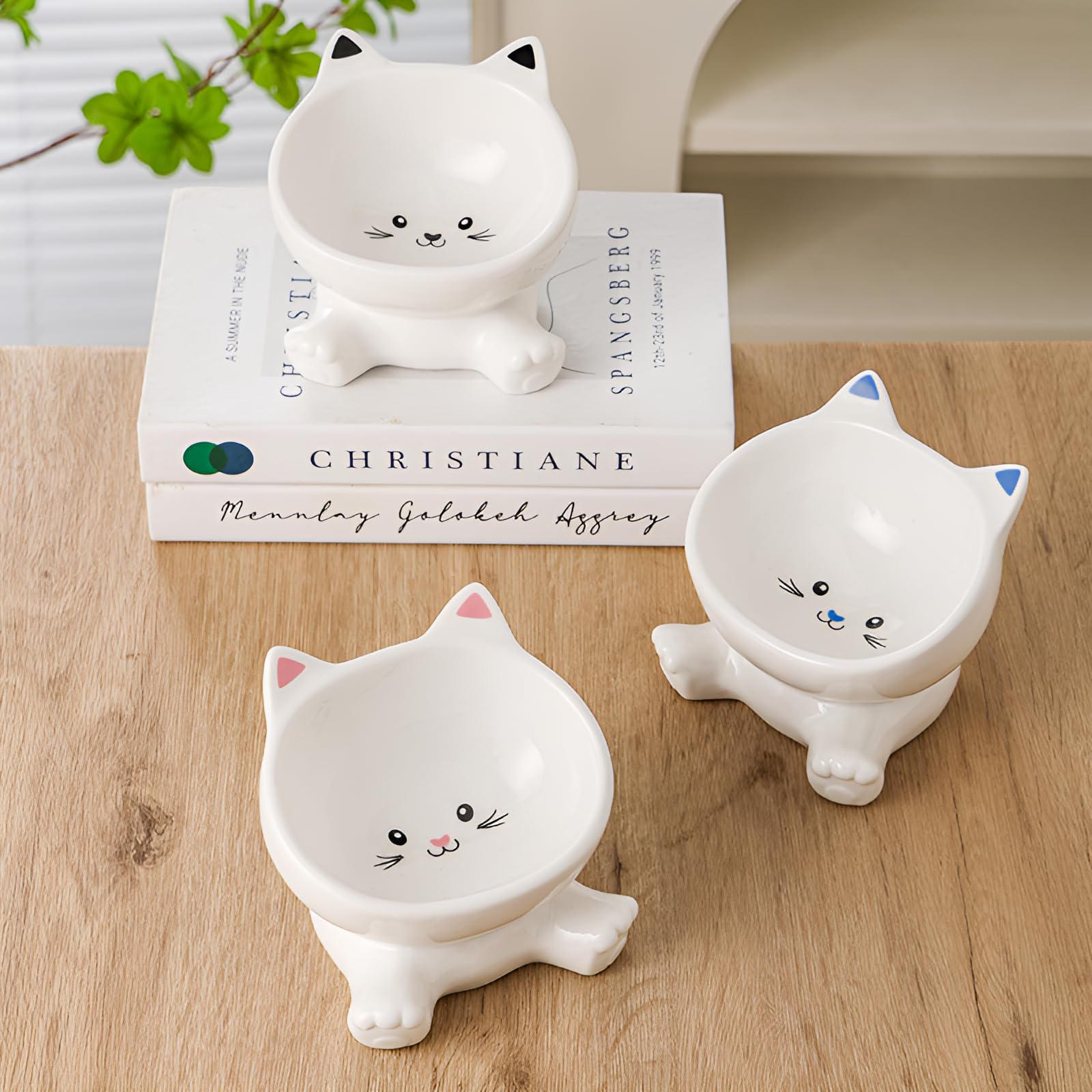 Raytrue-X raised cat bowl with water image demonstrates dual food and water use.