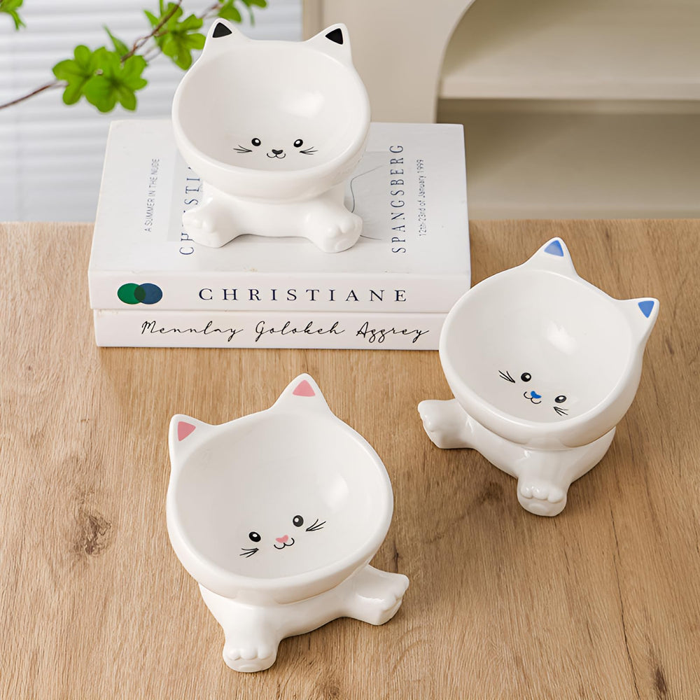 Raytrue-X raised cat bowl with water image demonstrates dual food and water use.