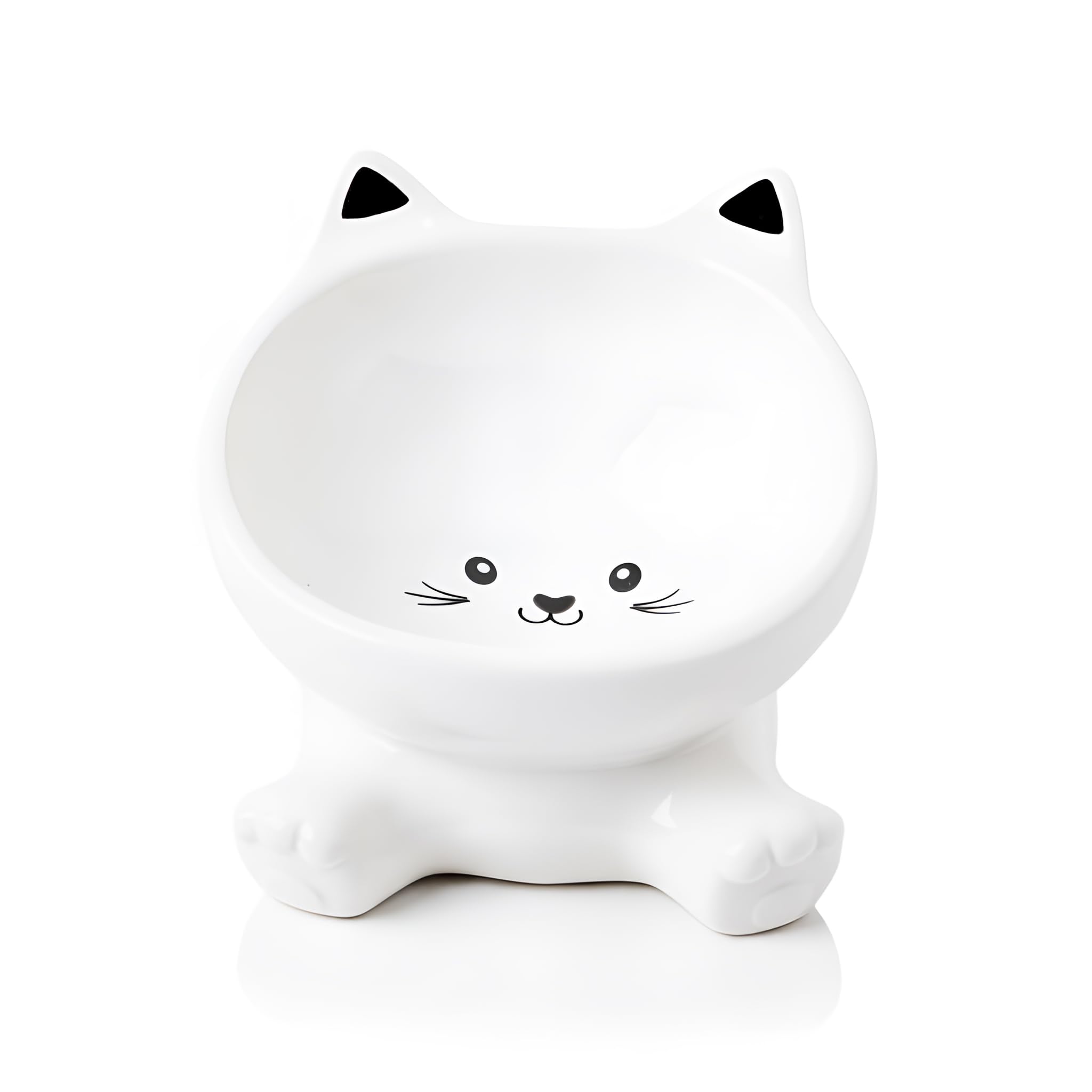 Raytrue-X raised cat bowl front view shows elevated design for comfy meals.