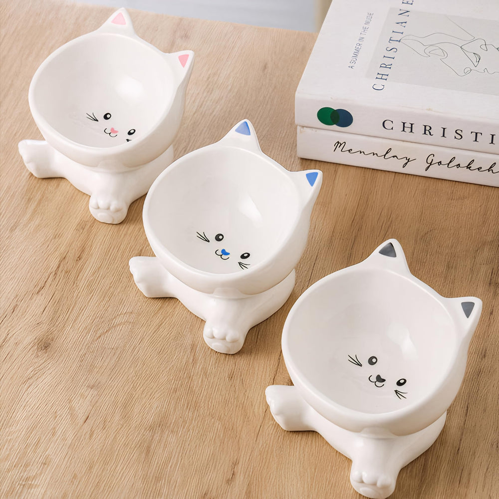 Raytrue-X raised cat bowl in-use with cat shows comfortable mealtime posture.