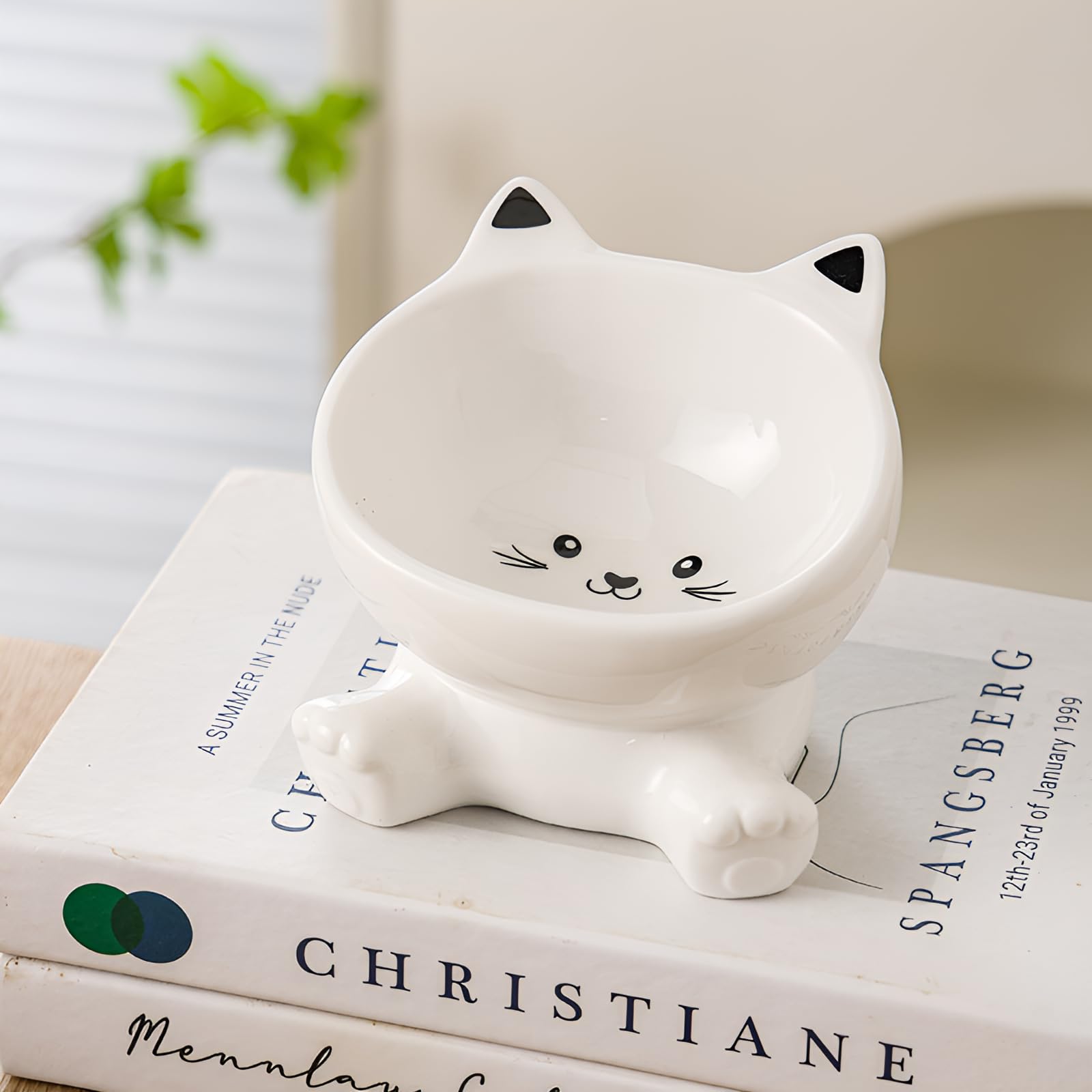Raytrue-X raised cat bowl size-specs show 4.9-inch diameter and height range.