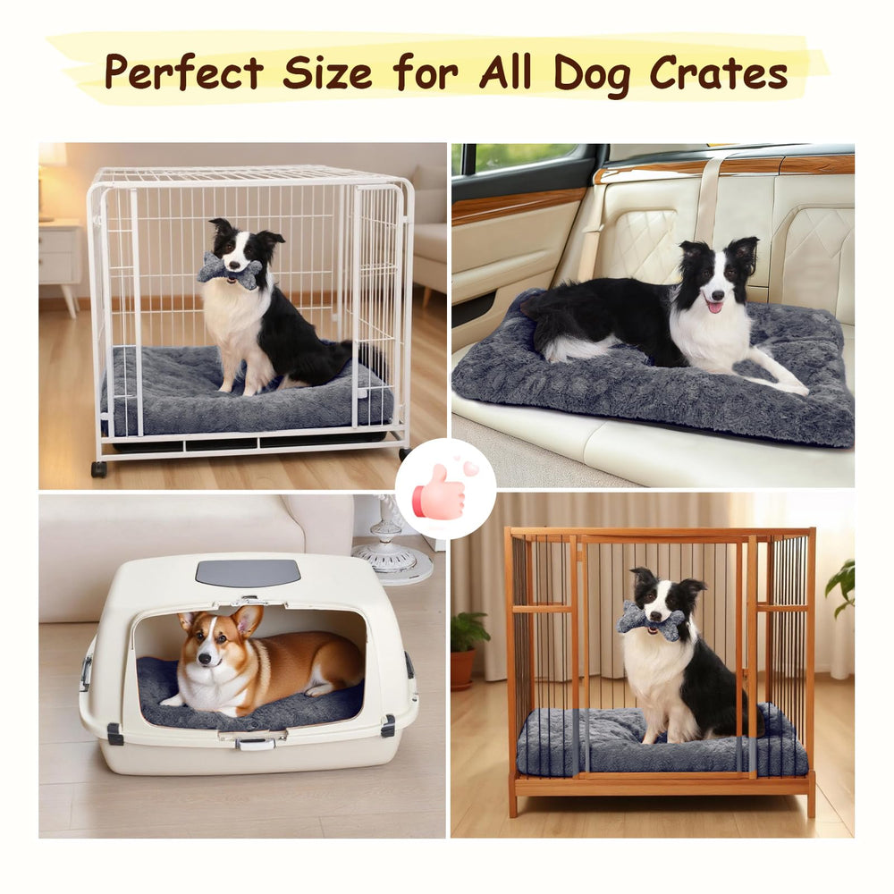 Razyzil bed includes squeaky bone toy for interactive play.
