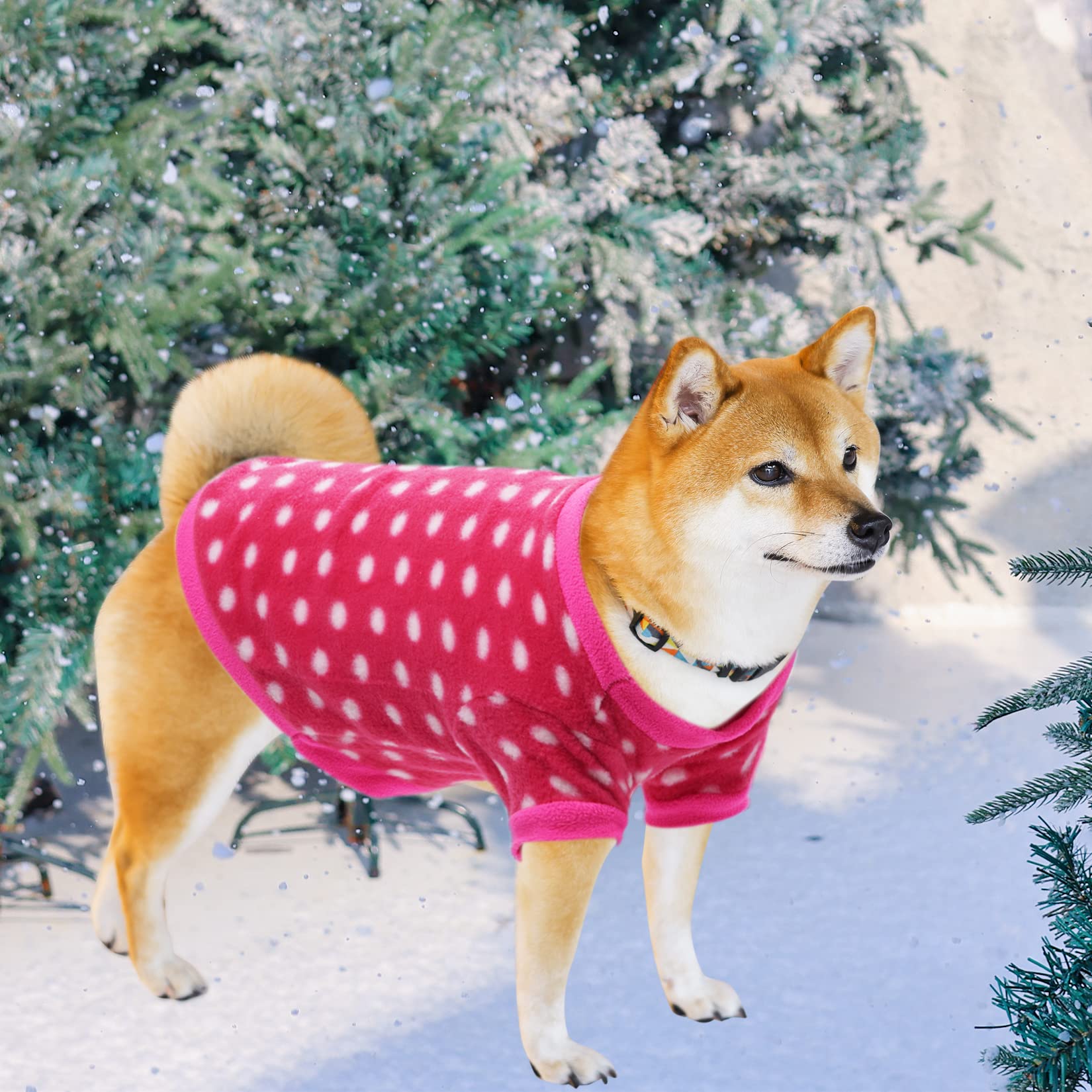 Rbenxia cozy-knit dog pajamas ideal for nighttime warmth
