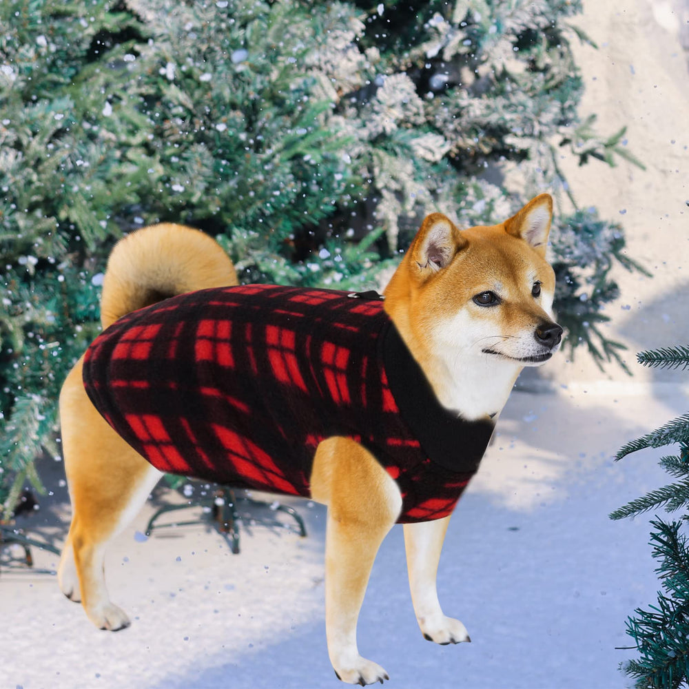 Rbenxia dog-cat winter clothes display shows versatile use for small pets year-round.