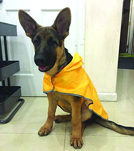 RC Pet Products packable rain poncho Sunshine large featuring a leash access hole for quick outdoor adjustments