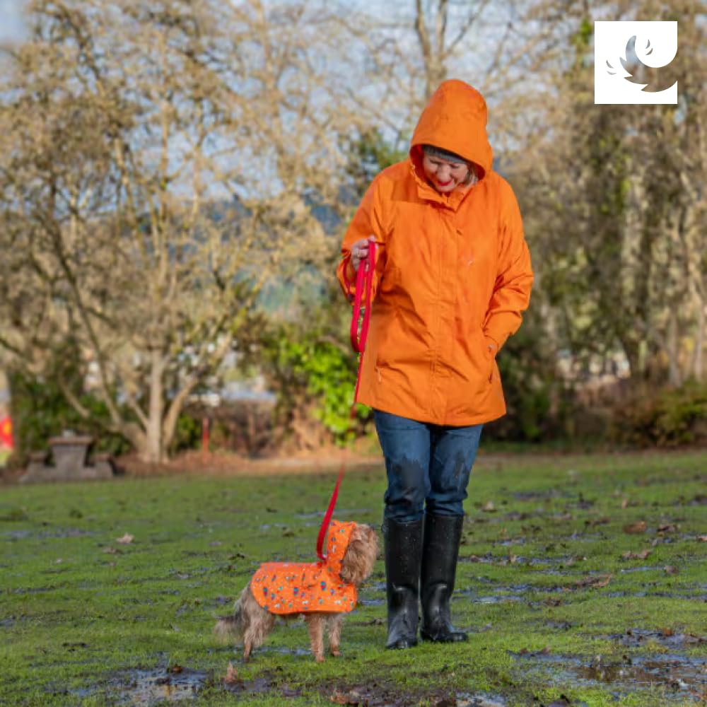 RC Pet Products Sunshine XXL leash-hole enables secure attachment during strolls