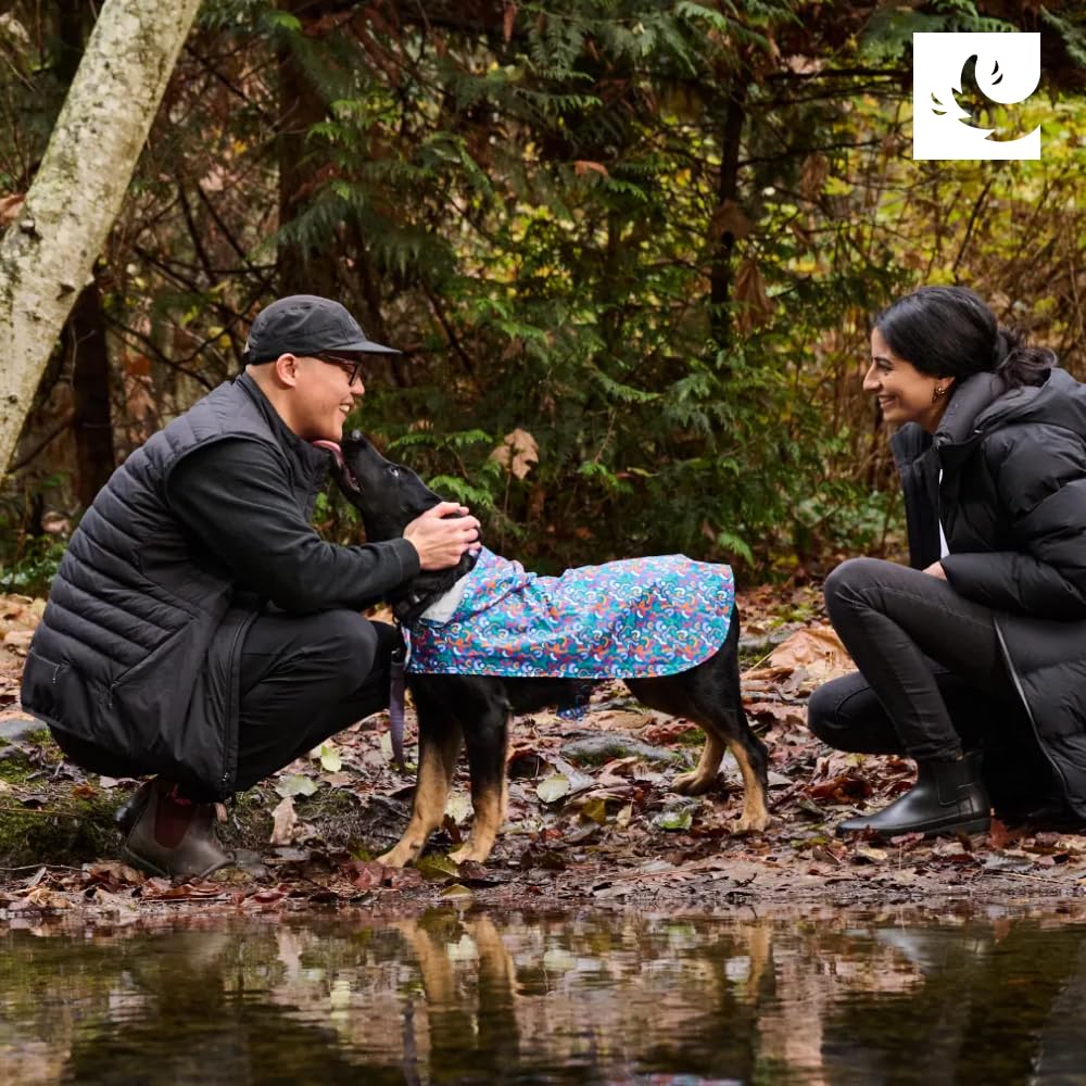RC Pet Products Sunshine XXL on-dog demonstrates lightweight protection during outdoor adventures
