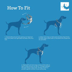 RC Pets Tempo No Pull XS Heather Teal adjustable straps for a snug fit.
