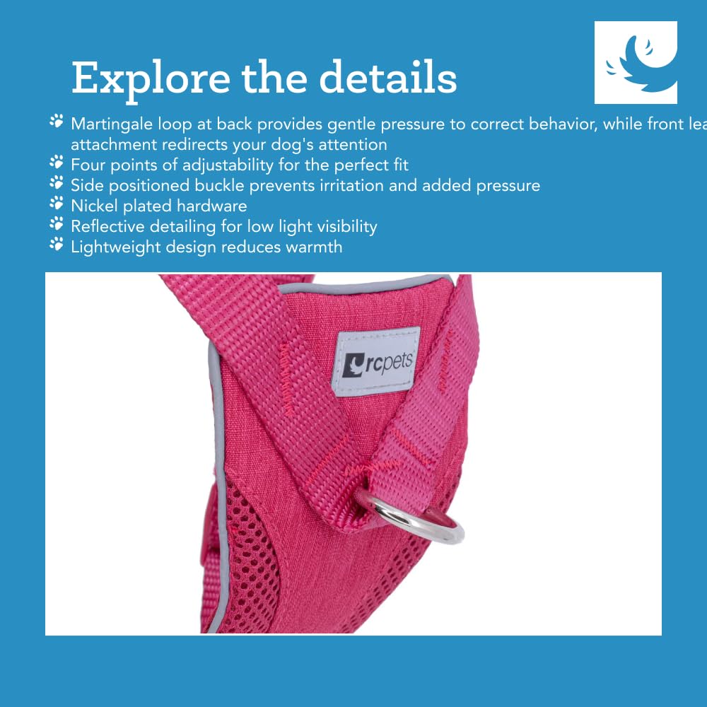 RC Pets Tempo No Pull Harness XS Heather Teal back view showing secure fit.