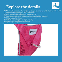 RC Pets Tempo No Pull Harness XS Heather Teal back view showing secure fit.