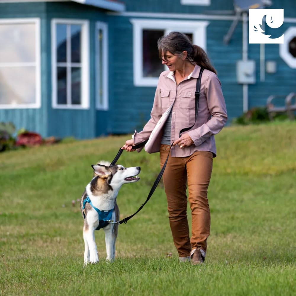 RC Pets Tempo No Pull XS Heather Teal closeup fabric detail supports comfortable wear.
