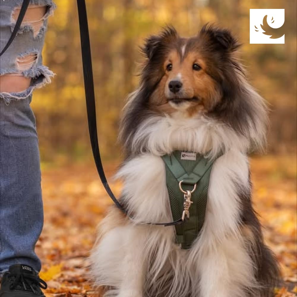 RC Pets Tempo No Pull XS Heather Teal durable hardware withstands daily use.