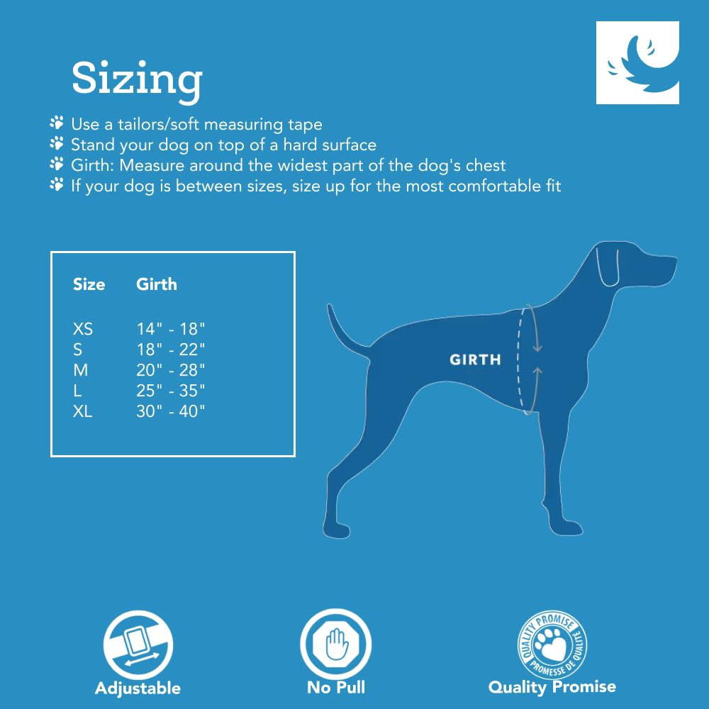 RC Pets Tempo No Pull XS Heather Teal side buckles minimize irritation during walks.