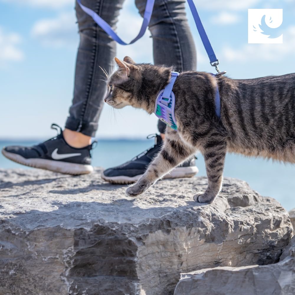RC Pets Adventure Kitty Harness Raspberry Small durable material and machine washable design