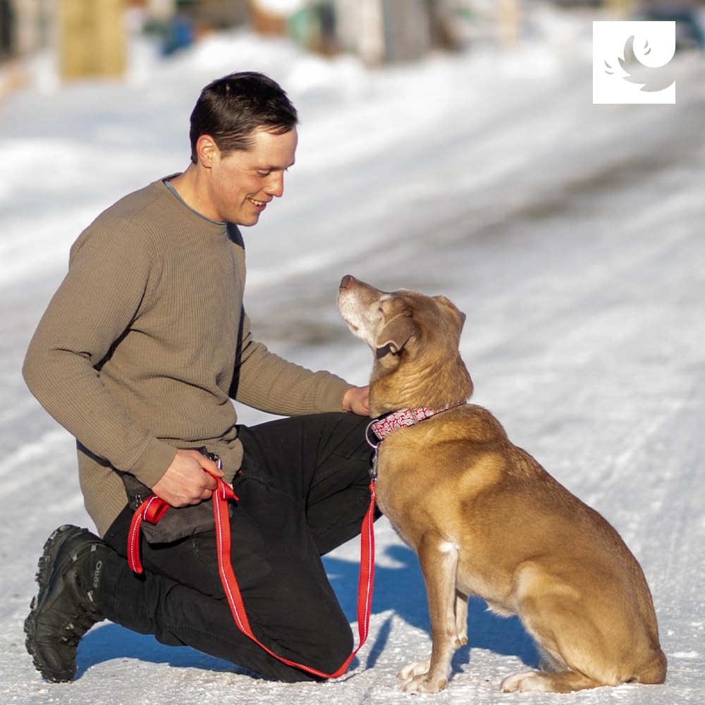 RC Pets Bones made in Canada label emphasizes quality and local craftsmanship