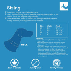 RC Pets Bones reflective stitching close-up enhances visibility in low light