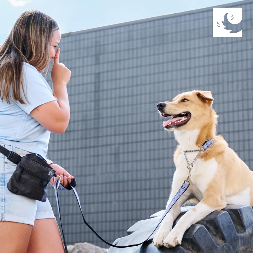 RC Pets Bones in-use during a walk highlighting gentle training potential