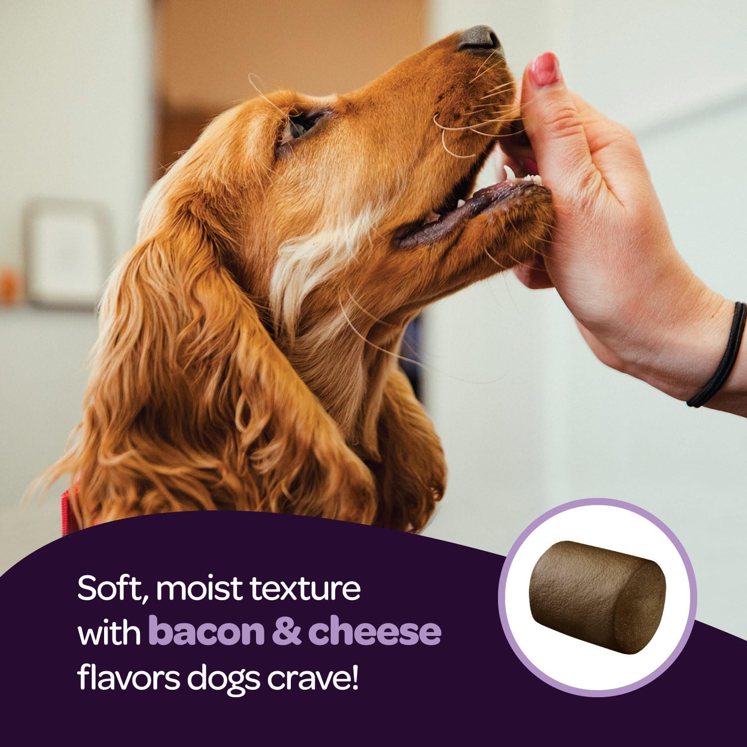 Ready Pet Go! Calming Chews herbal-blend closeup emphasizes natural relaxation ingredients.