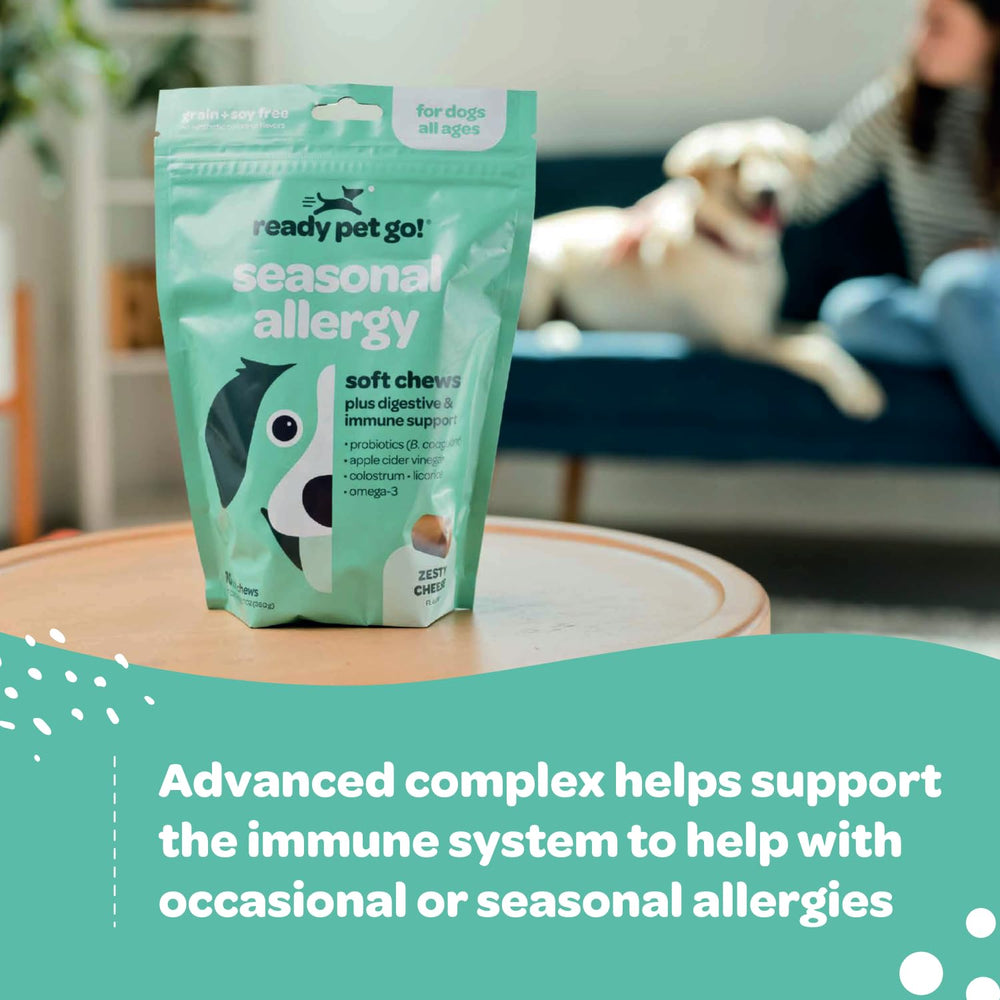 Ready Pet Go Grain-Free Recipe packaging signals clean ingredients and easy usage