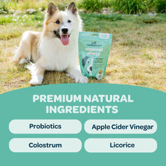 Ready Pet Go Immunity Dog Allergy Chews serving dish depicts convenient daily use