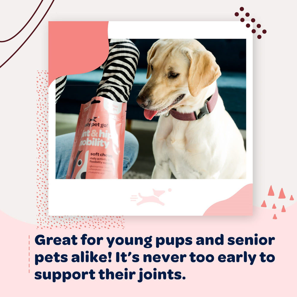 Ready Pet Go large-breed dog chews easy-to-chew formula for big dogs.