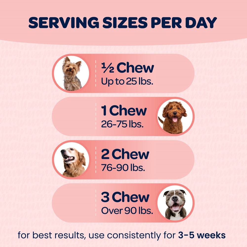 Ready Pet Go NASC-certified dog supplement branding conveys trusted quality.