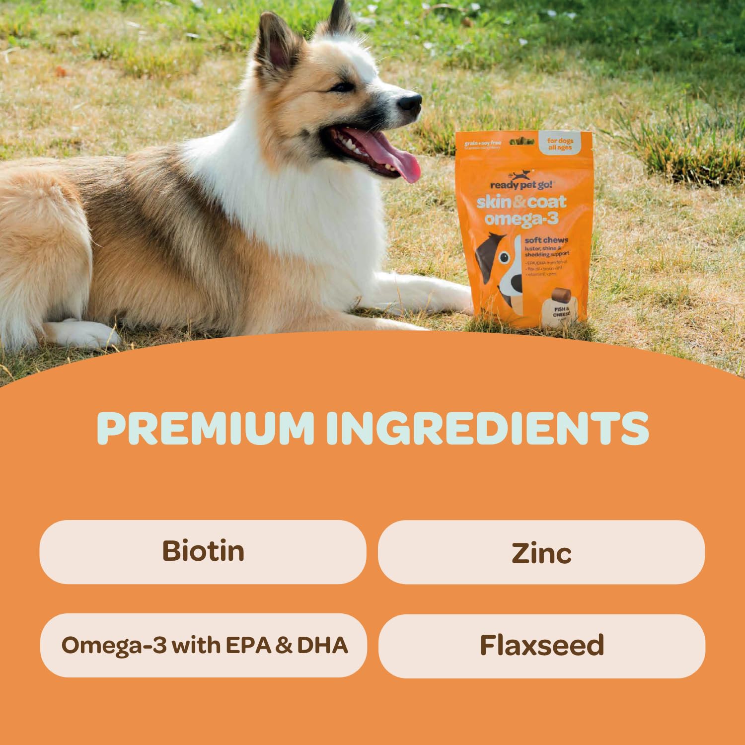 Ready Pet Go! krill oil image highlights EPA/DHA for skin support.