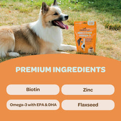Ready Pet Go! krill oil image highlights EPA/DHA for skin support.