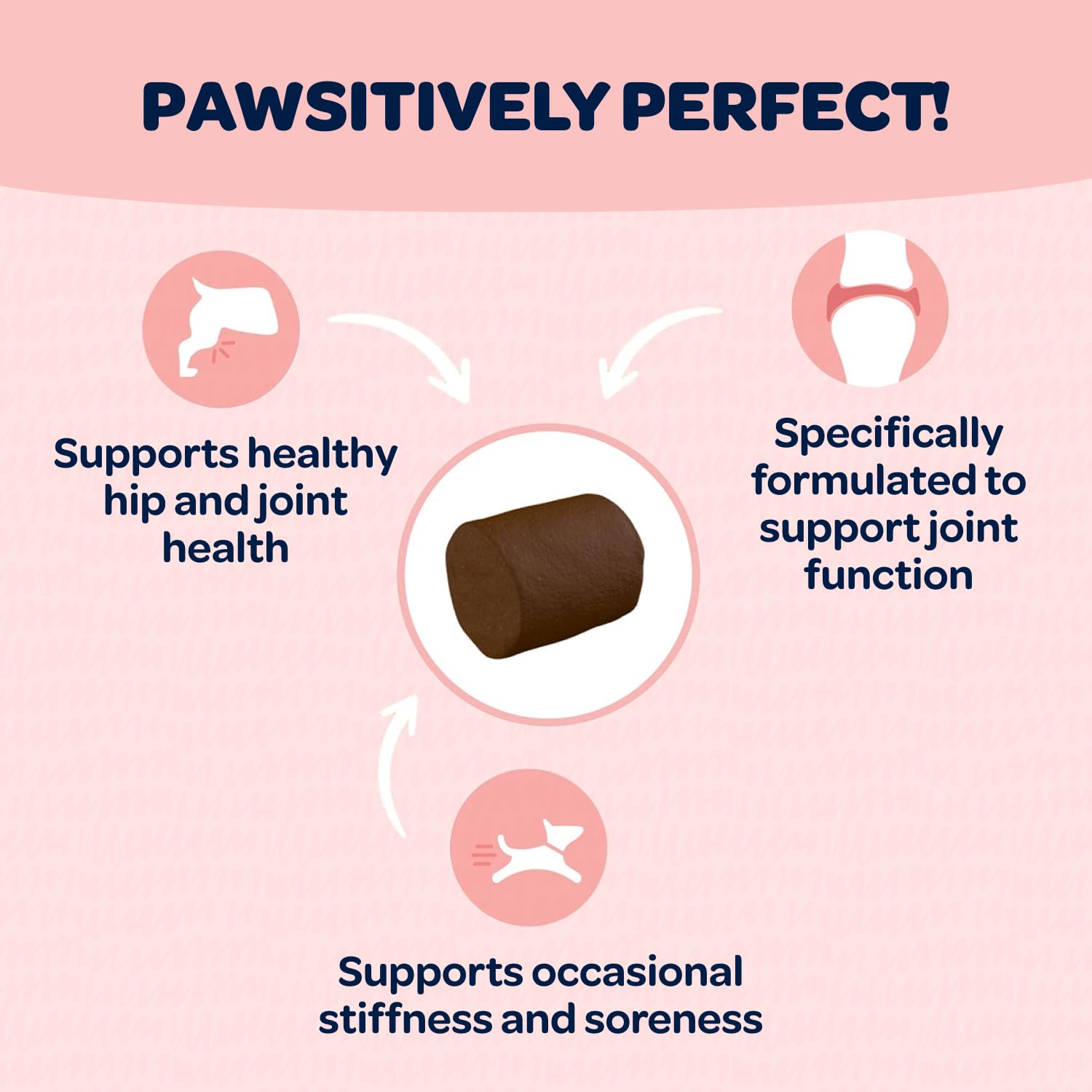 Ready Pet Go small-breed dog chews textured formula for tiny pals.
