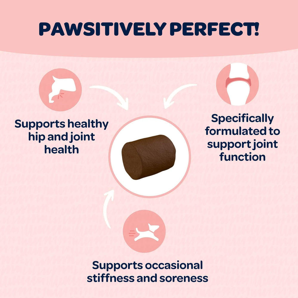 Ready Pet Go small-breed dog chews textured formula for tiny pals.