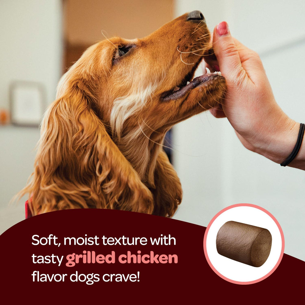 Ready Pet Go varied-dog-sizes chews demonstrate universal appeal for small to large breeds