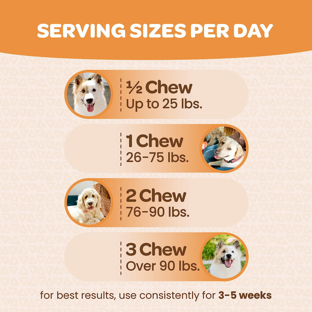 Ready Pet Go! vitamin E photo signals antioxidant nutrition for dogs.
