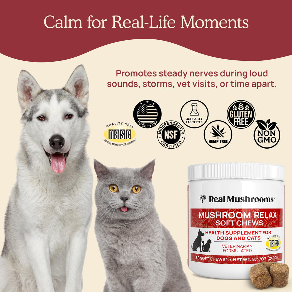 Real Mushrooms calming chews dog dosing shows weight-based daily amount for convenience.