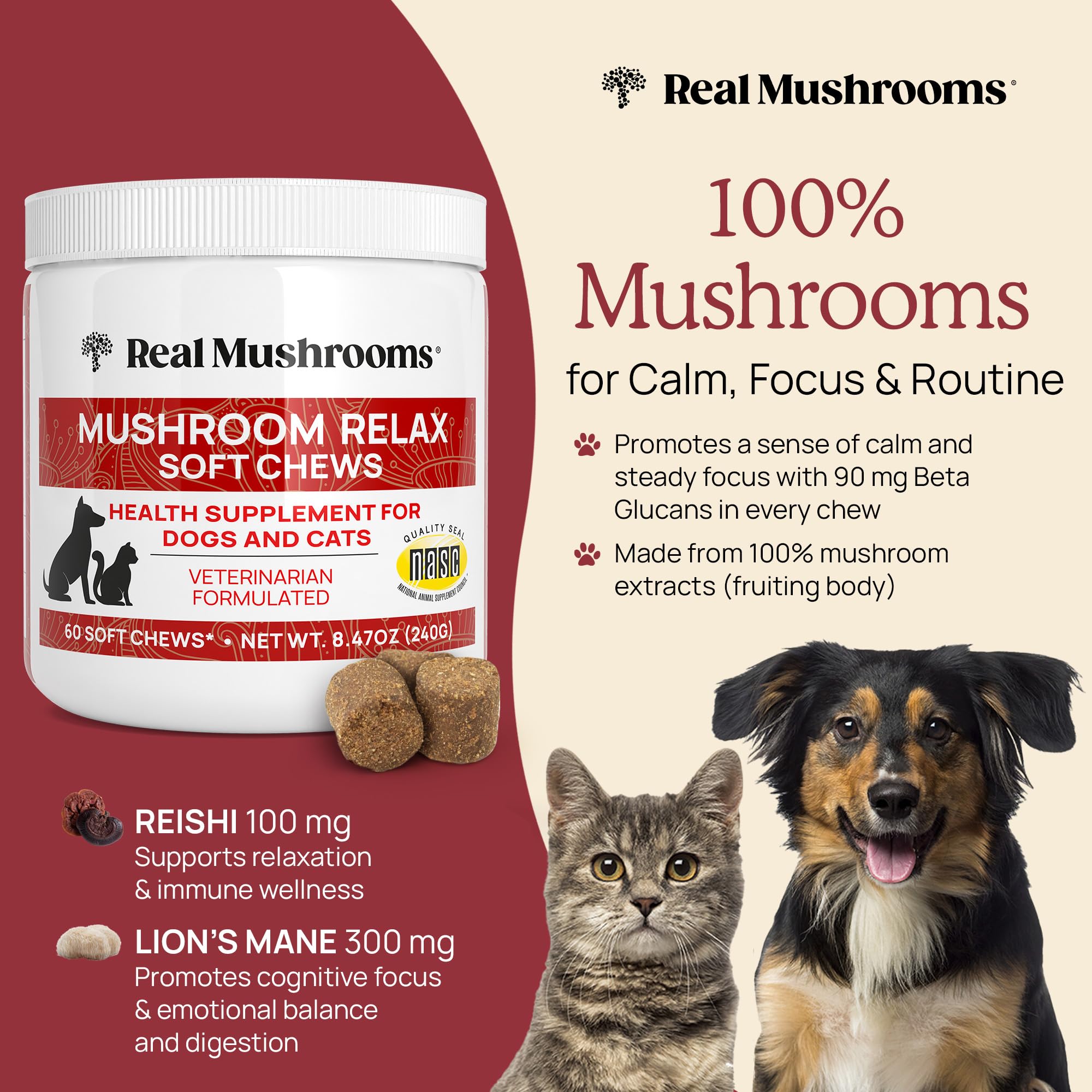 Real Mushrooms calming chews soft chews closeup highlights easy-to-dose texture.
