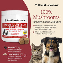 Real Mushrooms calming chews soft chews closeup highlights easy-to-dose texture.