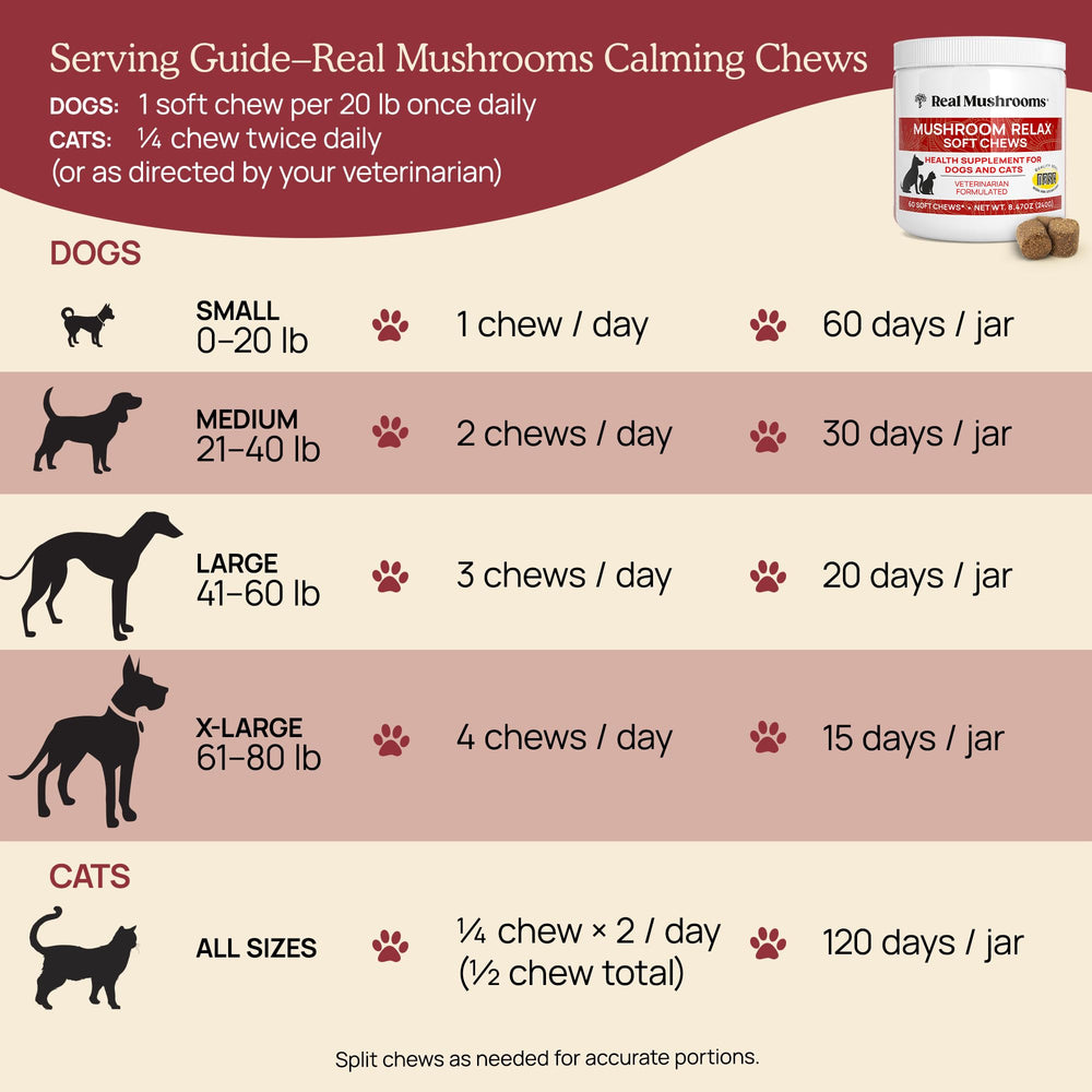 Real Mushrooms USA-made vegan filler-free badge emphasizes quality and pet-safe sourcing.