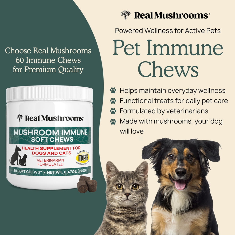 Real Mushrooms Immune Pet Chews for cats support digestion and immune health.