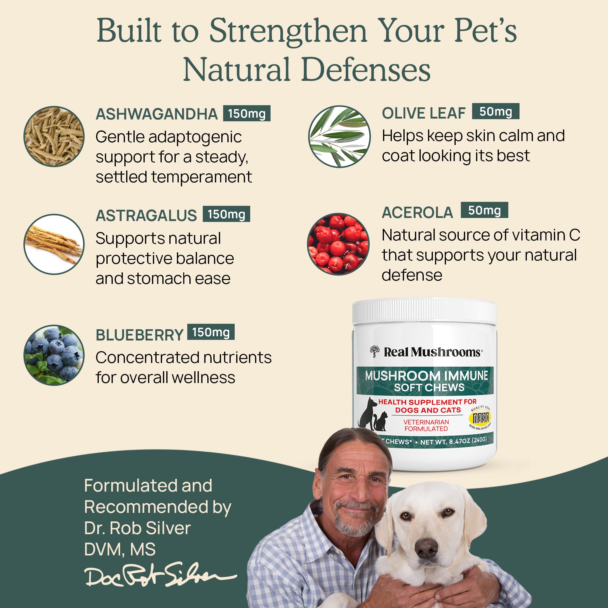Real Mushrooms Immune Pet Chews in a dog bowl support daily wellness for pets.