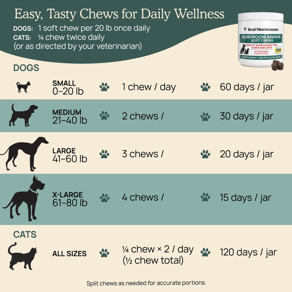 Real Mushrooms Immune Pet Chews ingredients include reishi and chaga for immune support.