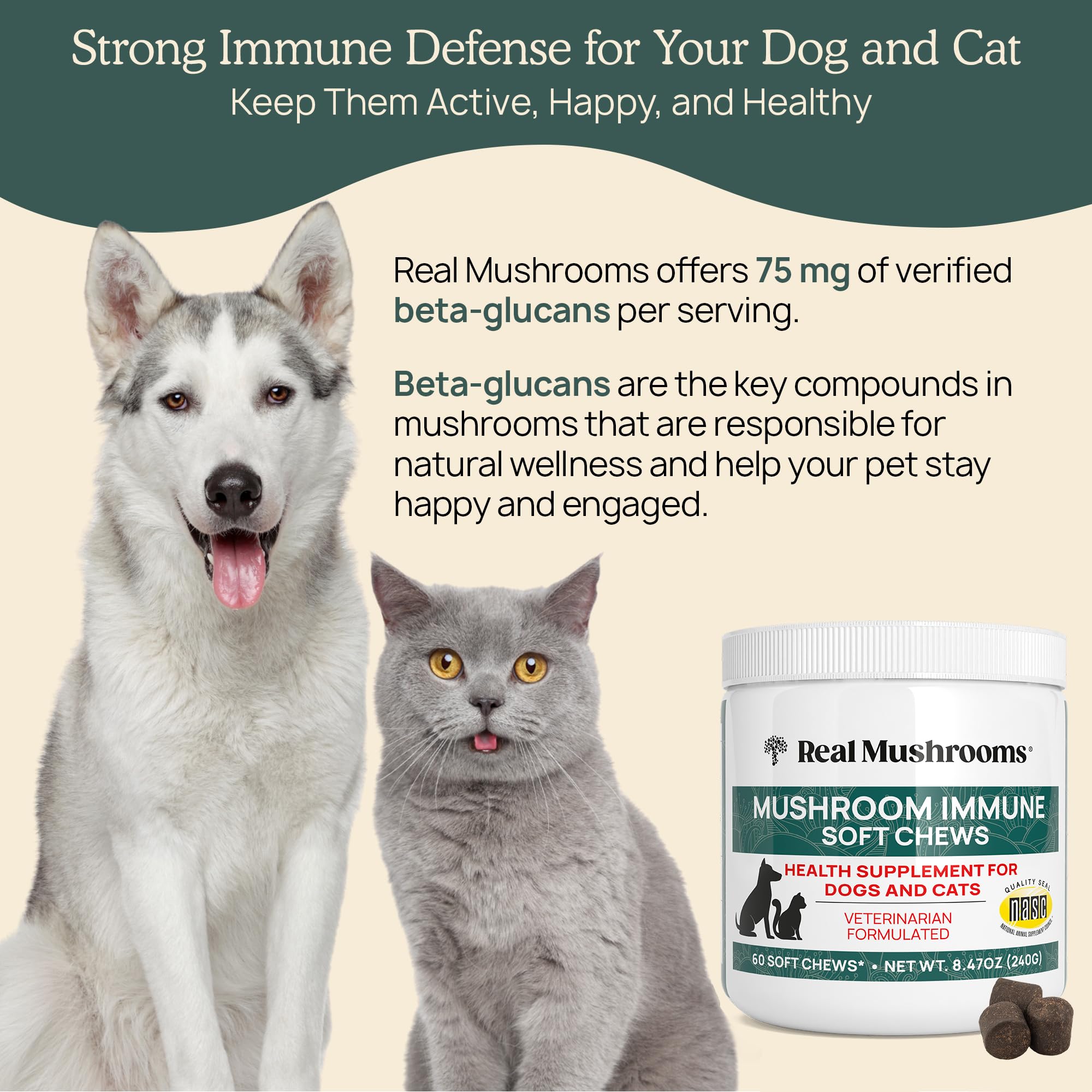 Real Mushrooms Immune Pet Chews jar front shows 60-count convenience.