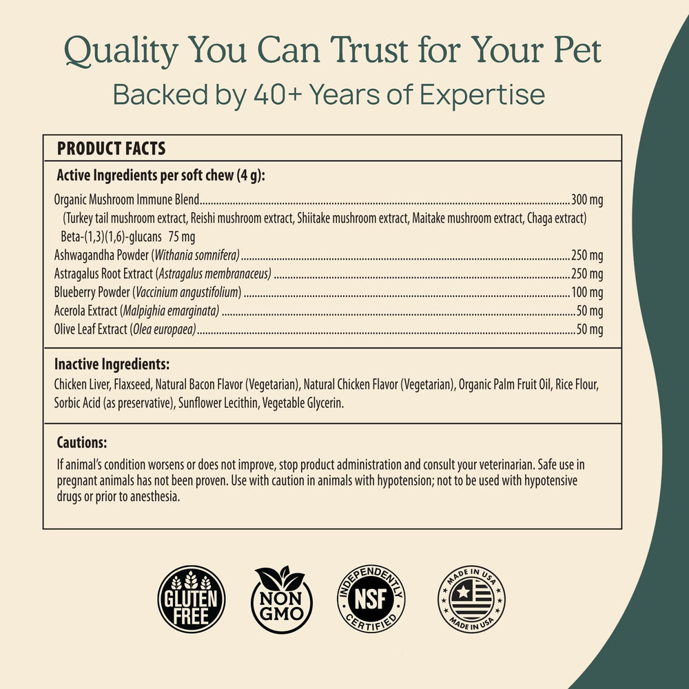 Real Mushrooms Immune Pet Chews made in USA with 40+ years of mushroom expertise.