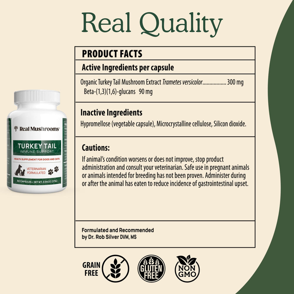 Real Mushrooms Turkey Tail dog-cat-use suggests versatile daily dosing.