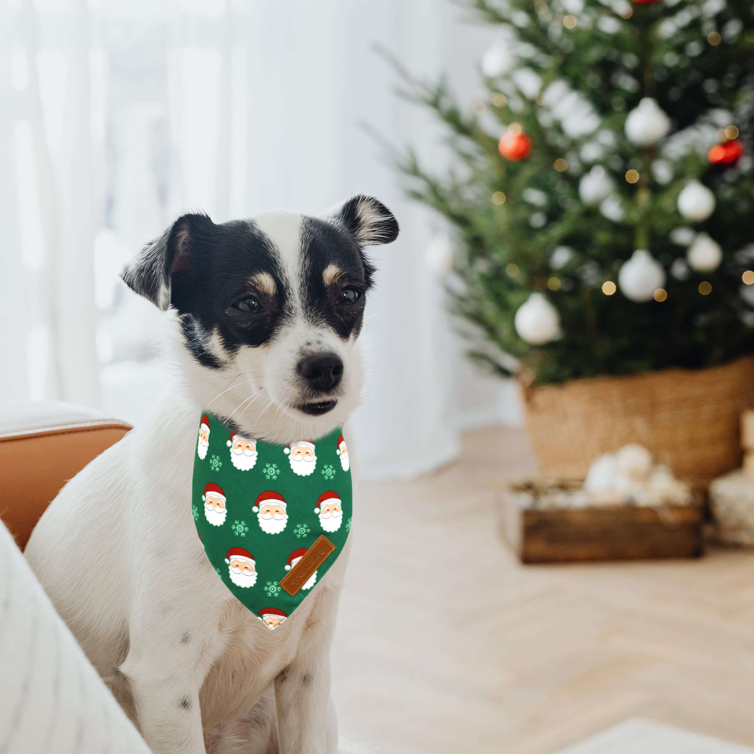 Bandanas material-duradera de Realeaf, tela de alta calidad para mascotas activas.