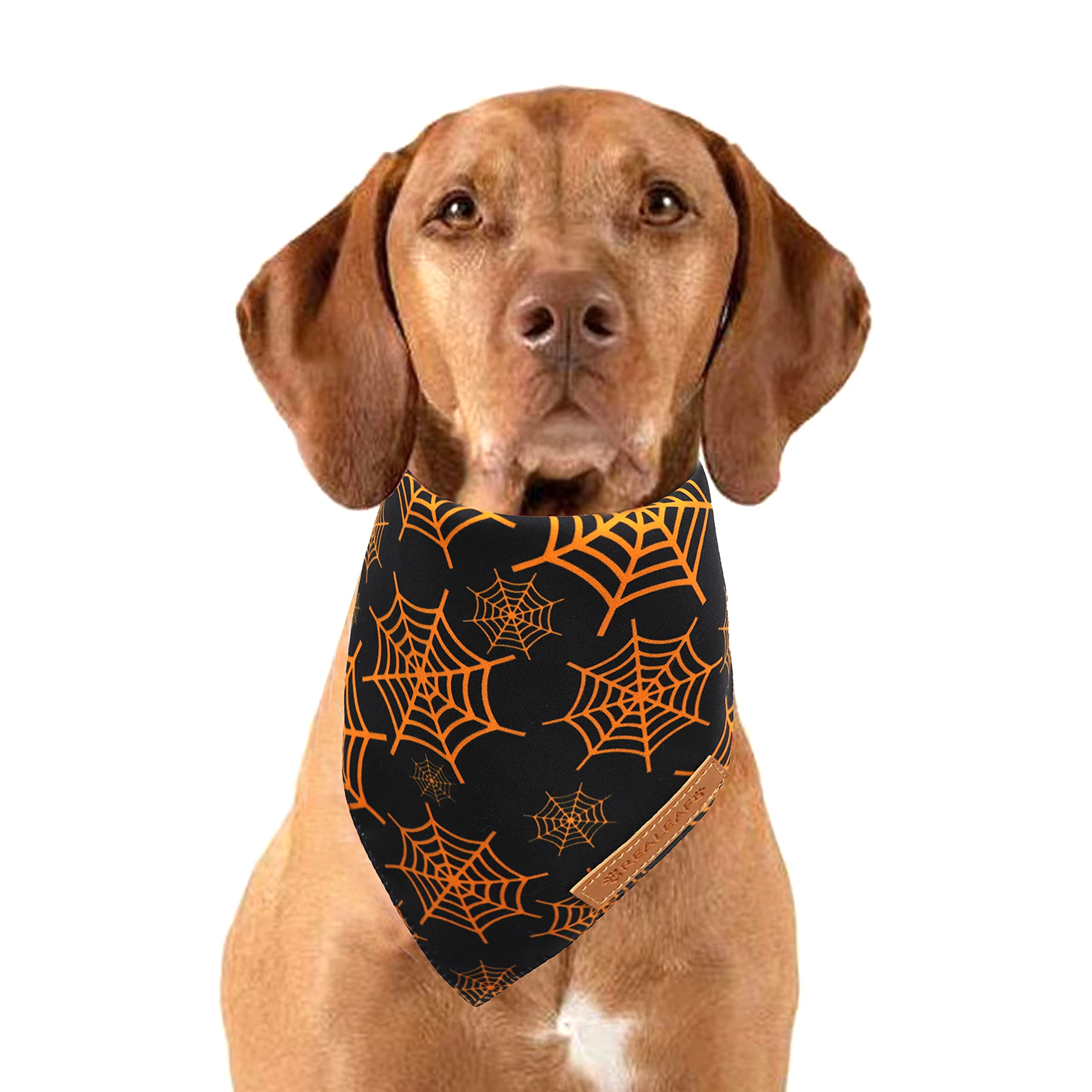 Realeaf Halloween bandana set ideal for everyday wear and photos